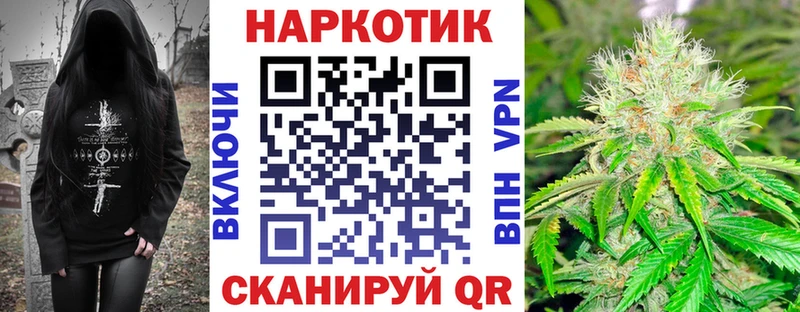Сколько стоит Сясьстрой A-PVP КОКАИН Гашиш Каннабис