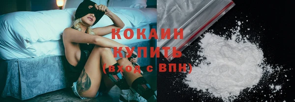 спайс Арсеньев