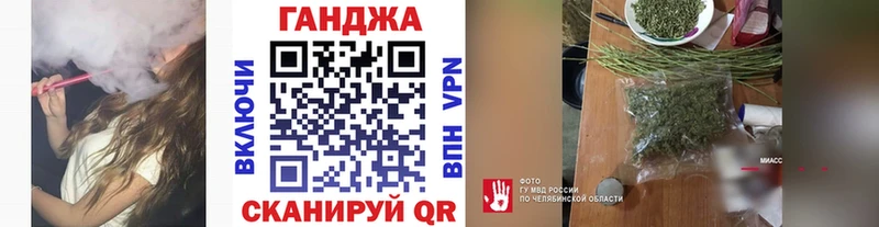 Каннабис индика  kraken ссылки  Сясьстрой  где найти наркотики 